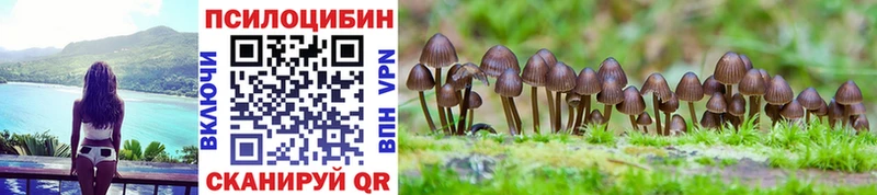 даркнет Telegram  Дмитровск  Псилоцибиновые грибы MAGIC MUSHROOMS  где купить наркоту 